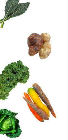 vegetable-left-2